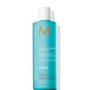 שמפו משקם מעניק לחות 250 מ"ל - שמן מרוקאי MOROCCANOIL