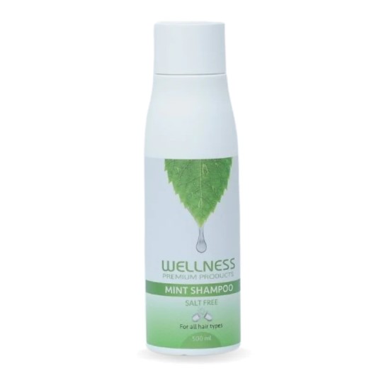 שמפו מנטה לניקוי קרקפת יסודי וולנס WELLNESS 500ML