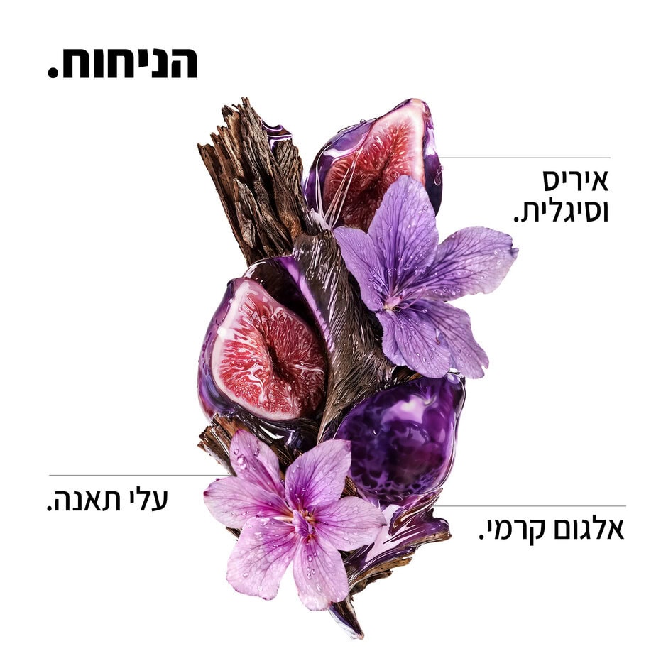 שמפו ללא מלחים קרטין אלפא סליק למראה שיער חלק ושליטה בנפח בלתי רצוי 500ML | לוריאל